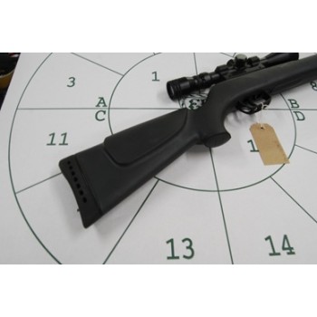 Gamo Hornet .22 With Scope